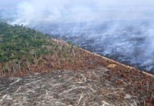 La dégradation des terres menace les « limites planétaires » : solutions et urgences selon le Potsdam Institute