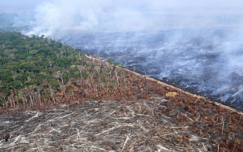 La dégradation des terres menace les « limites planétaires » : solutions et urgences selon le Potsdam Institute