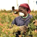 « L’agriculture est l’un des secteurs les plus dangereux », dixit Laetitia Dumas, OIT