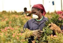 « L’agriculture est l’un des secteurs les plus dangereux », dixit Laetitia Dumas, OIT