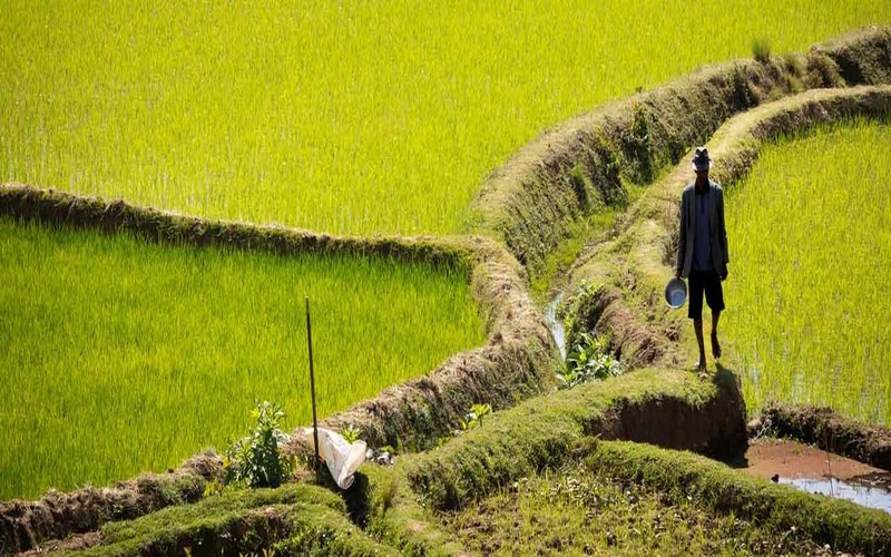 Le FAD approuve une garantie partielle de crédit de 200 millions d’euros pour financer des projets verts et sociaux durables au Togo