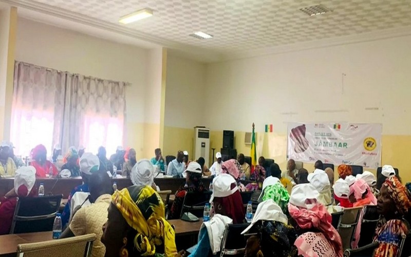 Le projet RFA : 3 000 emplois créés dans 5 régions du Sénégal grâce aux foyers améliorés et à l’entrepreneuriat responsable