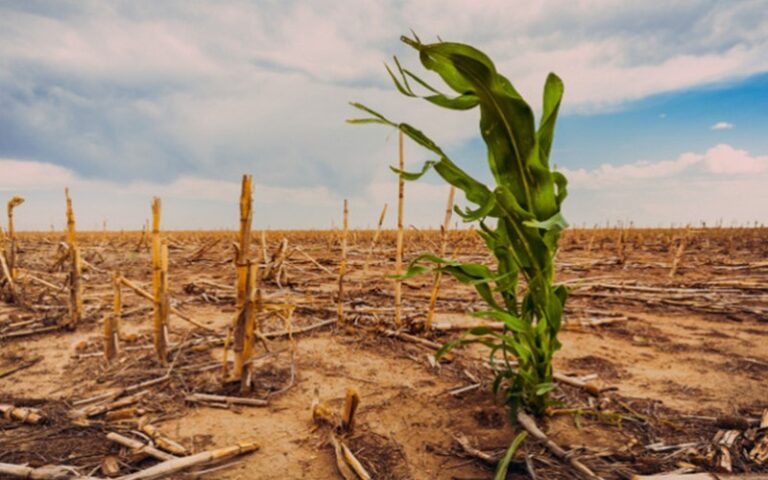 Le Togo met à jour son PNACC national d’adaptation aux changements climatiques pour faire face aux défis environnementaux