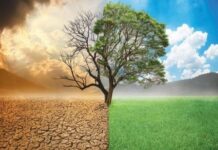 Les effets du changement climatique à Dakar, Fatick et Thiès : Un forum pour sensibiliser aux défis environnementaux