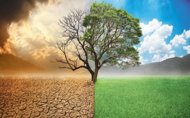 Les effets du changement climatique à Dakar, Fatick et Thiès : Un forum pour sensibiliser aux défis environnementaux