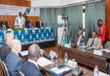 Lutte contre la déforestation : Le Cameroun et le partenariat CAFI reçoivent 37 milliards de FCFA pour renforcer la préservation des forêts en 2025