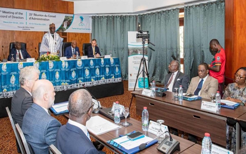 Lutte contre la déforestation : Le Cameroun et le partenariat CAFI reçoivent 37 milliards de FCFA pour renforcer la préservation des forêts en 2025