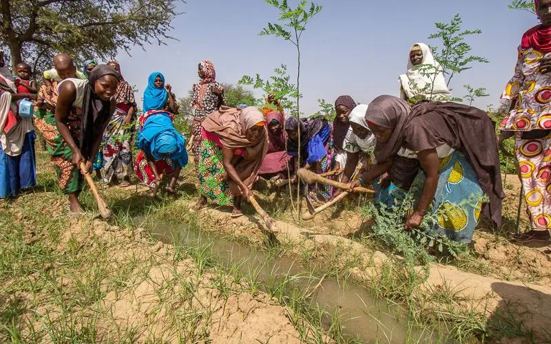 Lutte contre la désertification au Sahel : Partenariats locaux multi-acteurs pour renforcer la résilience et la sécurité alimentaire à la COP 16