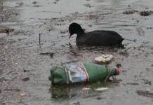 Pollution plastique : Les négociations à Busan échouent, un traité mondial en suspens