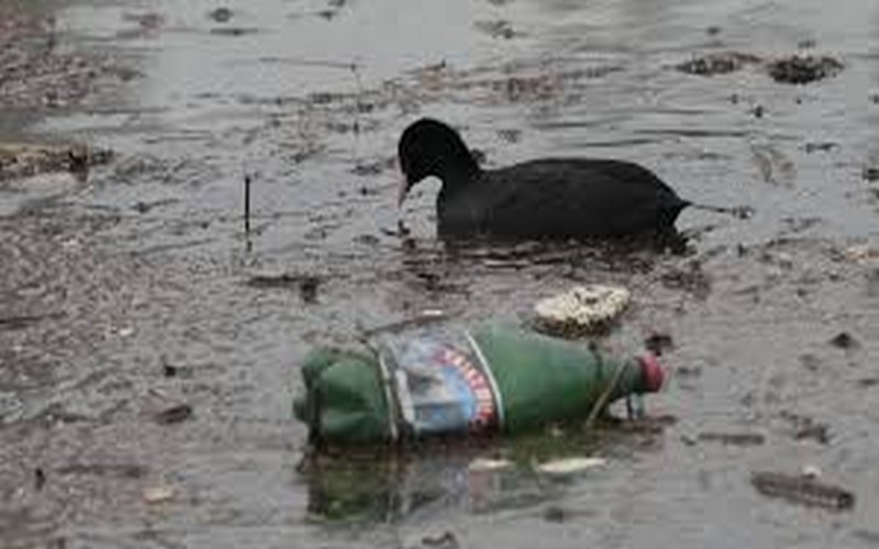 Pollution plastique : Les négociations à Busan échouent, un traité mondial en suspens