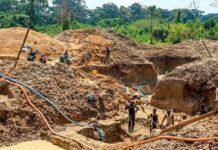 RDC : 7% de perte de forêt due à l’exploitation minière – un impact environnemental et social majeur au Katanga