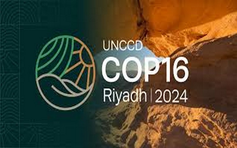 Rencontre avec les « héros de la terre » : Ces jeunes pionniers qui luttent contre la désertification et la dégradation des terres   