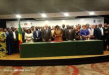 Soutien des Nations Unies à la préservation des écosystèmes au Congo : Un engagement pour un avenir durable