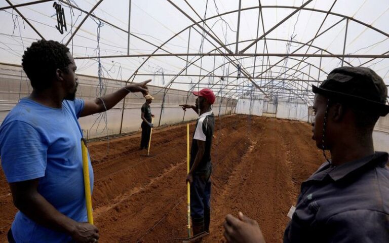 Voiceout Deaf, un projet agricole inclusif pour les personnes sourdes qui transforme l’accès à l’emploi en Afrique du Sud