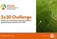 ATLAS lance le défi 2×30 à Davos : Doubler les investissements dans les systèmes agroalimentaires africains d’ici 2030 pour transformer l’agriculture du continent
