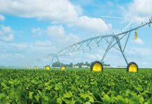 Agriculture régénératrice au Maroc : Leader en Afrique avec des solutions durables et innovantes pour l’avenir de l’agriculture