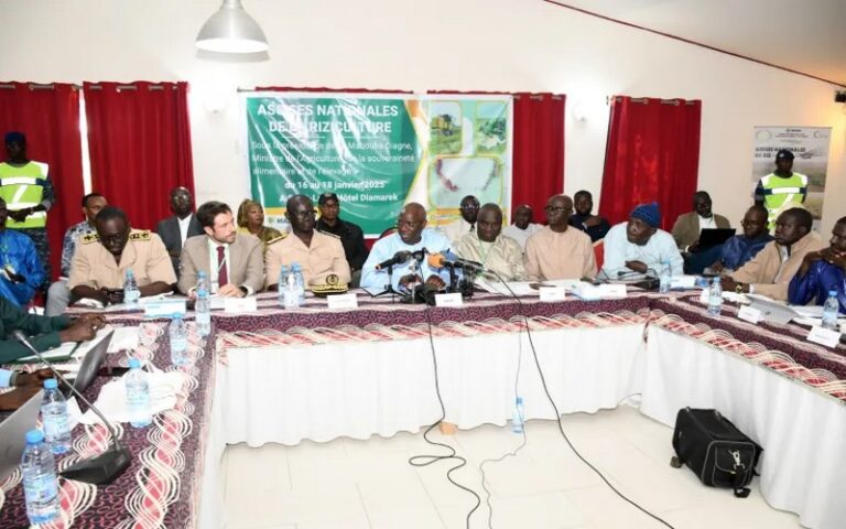 Assises nationales du riz à Saint-Louis : Une étape clé pour la souveraineté alimentaire du Sénégal