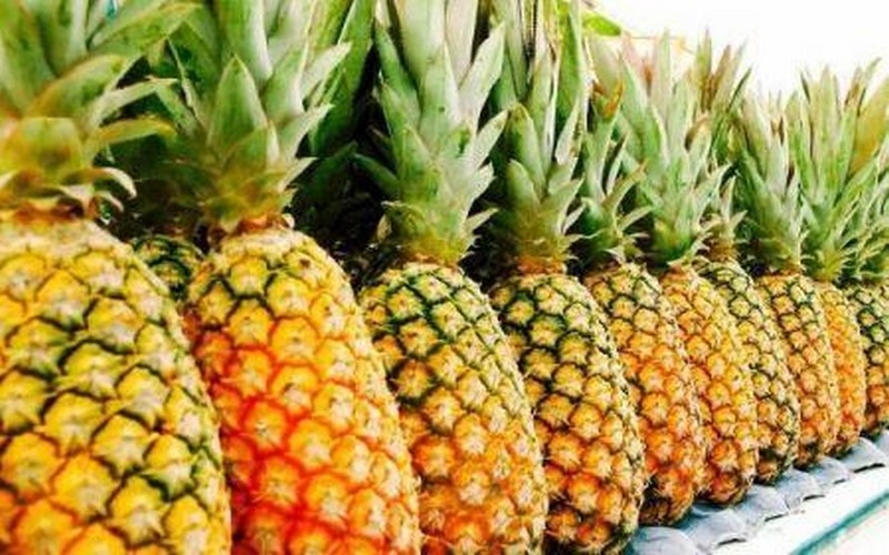 « Au Bénin, la filière ananas est dominée par les importateurs, ce qui n’est pas normal » (Edouard Choubiyi, AEAB)