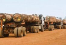 Cameroun : Exonération de 20% pour l’exportation des produits certifiés « zéro déforestation » (bois, hévéa, cacao)
