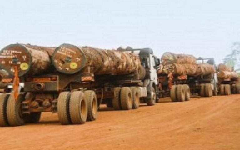 Cameroun : Exonération de 20% pour l’exportation des produits certifiés « zéro déforestation » (bois, hévéa, cacao)       