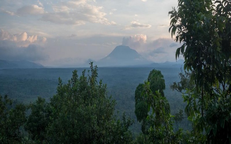 Cogestion des aires protégées par les ONG et les États en Afrique : une réussite pour réduire la déforestation