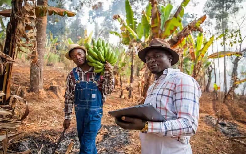 Comment les gouvernements africains soutiennent-ils l’agriculture ? Bilan et perspectives pour le sommet de l’Union africaine