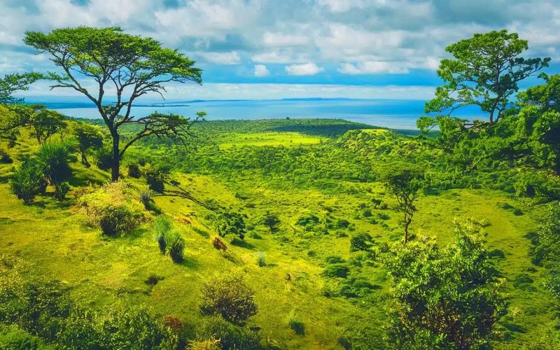 Découverte de plus de 200 espèces endémiques : Le secret écologique menacé de l’Afrique australe entre le Mozambique et le Malawi