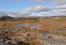 Dégel du pergélisol en Arctique : Un tiers de la région émet désormais plus de CO2 qu’elle n’en capte