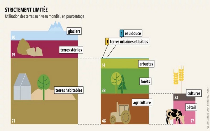 Dégradation des sols : Une crise mondiale silencieuse menaçant la sécurité alimentaire et l’agriculture durable