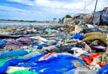 Dépollution de la baie de Hann (Sénégal) : Mise aux normes des unités industrielles et amélioration de la qualité de l’eau pour un avenir plus sain, selon Cheikh Tidiane Dièye