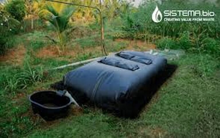 Energies renouvelables : Sistema.bio révolutionne l’agriculture en Afrique avec une solution innovante pour 100 000 agriculteurs