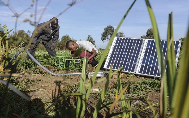 Former pour transformer : L’irrigation solaire comme levier pour une agriculture durable et résiliente au Mali