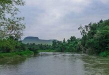 « Human Empress » : L’initiative écoresponsable de la jeunesse congolaise pour un avenir durable