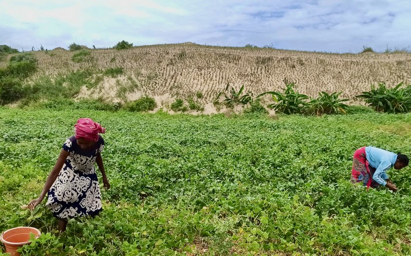 ISM : Une étude pour des solutions durables à la migration climatique et l’exode rural menée à Madagascar