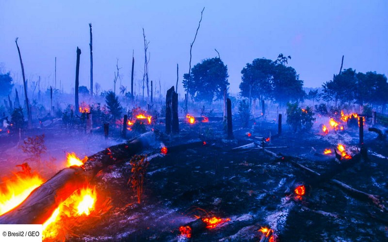 Incendies en Amazonie : Une augmentation de 79 % des surfaces brûlées en 2024, un défi majeur pour la lutte contre le changement climatique