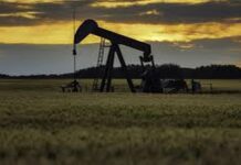 L’Afrique doit-elle abandonner l’exploitation de ses énergies fossiles pour réussir sa transition énergétique ? Défis et perspectives