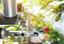 L’AgriTech en Afrique : Comment les startups transforment l’agriculture en 2025