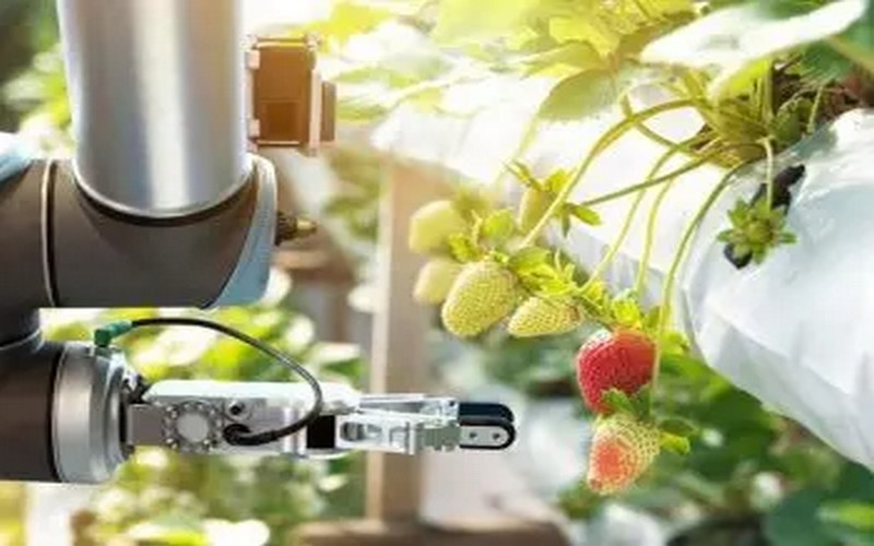 L’AgriTech en Afrique : Comment les startups transforment l’agriculture en 2025