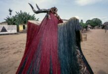 La préservation des mangroves au Bénin : L’influence des rites vaudous pour protéger l’écosystème marin