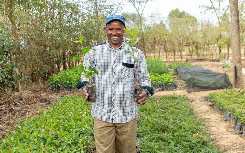 L’agroforesterie : Une solution durable pour les petits producteurs face aux défis climatiques et économiques