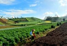 Le FEM débloque 68 millions de dollars pour financer des solutions agroalimentaires durables dans 22 pays