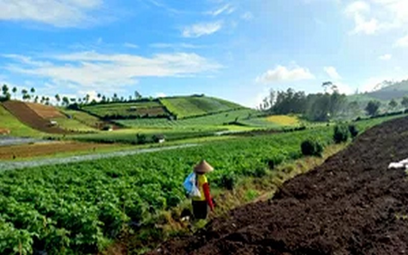 Le FEM débloque 68 millions de dollars pour financer des solutions agroalimentaires durables dans 22 pays