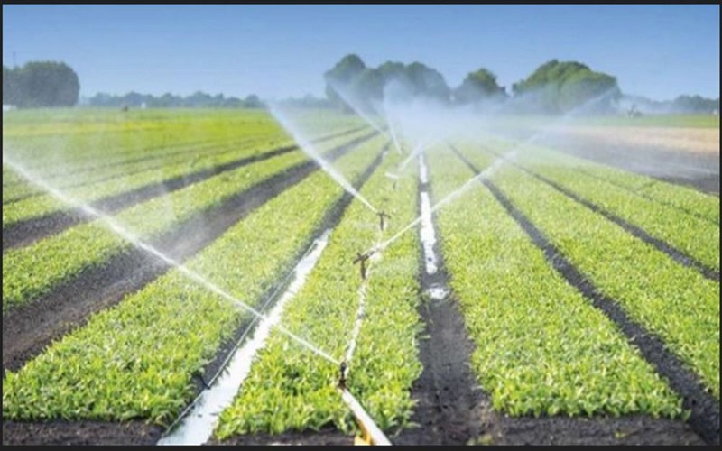 Le Rwanda obtient un prêt de 47 millions $ de la Chine pour renforcer l’irrigation agricole et stimuler la production