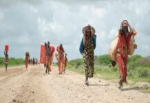 Le changement climatique : Une des causes majeures des migrations forcées en Afrique selon le rapport du Forum économique mondial