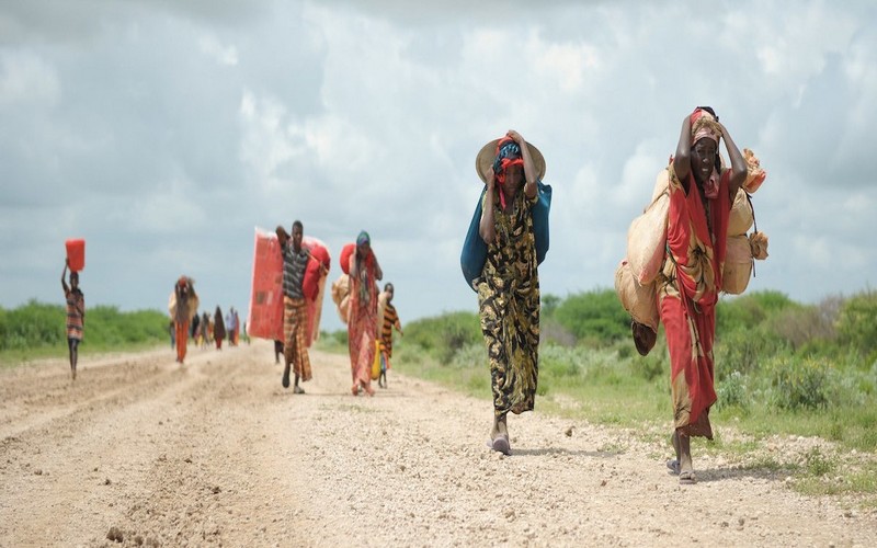 Le changement climatique : Une des causes majeures des migrations forcées en Afrique selon le rapport du Forum économique mondial