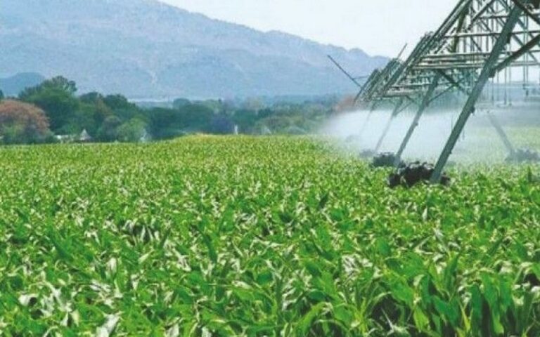 Le gouvernement algérien lance un projet ambitieux pour valoriser 122 000 hectares de terres agricoles en 2025  