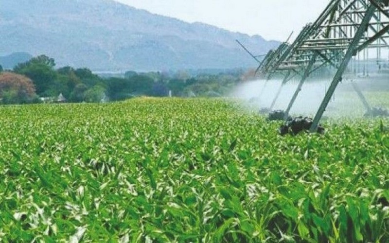 Le gouvernement algérien lance un projet ambitieux pour valoriser 122 000 hectares de terres agricoles en 2025