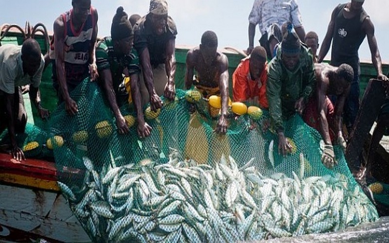 Les obstacles critiques du secteur de la pêche et les solutions proposées pour assurer la souveraineté alimentaire au Sénégal