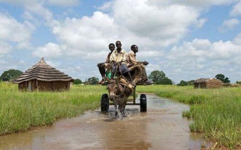 Lutte contre le changement climatique : classement 2025 des performances des pays africains selon Germanwatch
