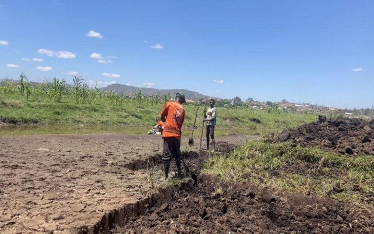 Madagascar : Sécheresse à Antananarivo, un impact direct sur la production agricole et la sécurité alimentaire